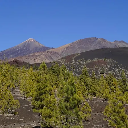 Vista Del Drago Willa Icod De Los Vinos