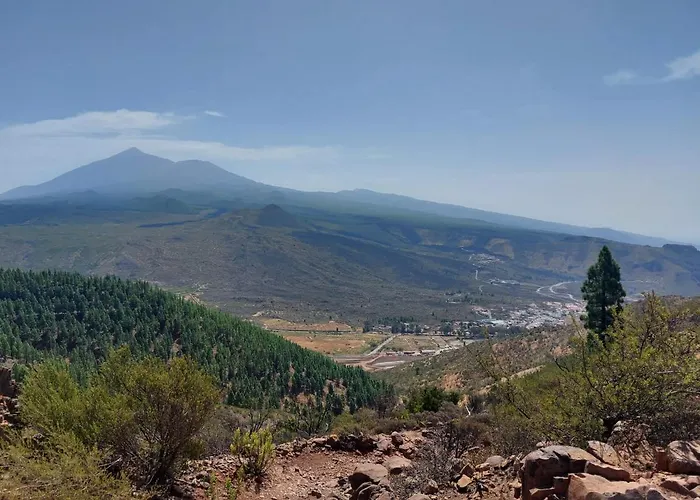 Vista Del Drago Icod De Los Vinos