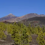 Vista Del Drago Villa Icod De Los Vinos