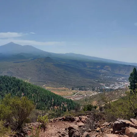 Vista Del Drago Икод-де-лос-Винос