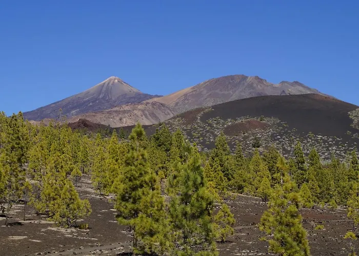 Vista Del Drago 别墅 伊科德·德·洛斯·维诺斯